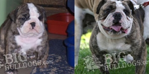 martha-lucy