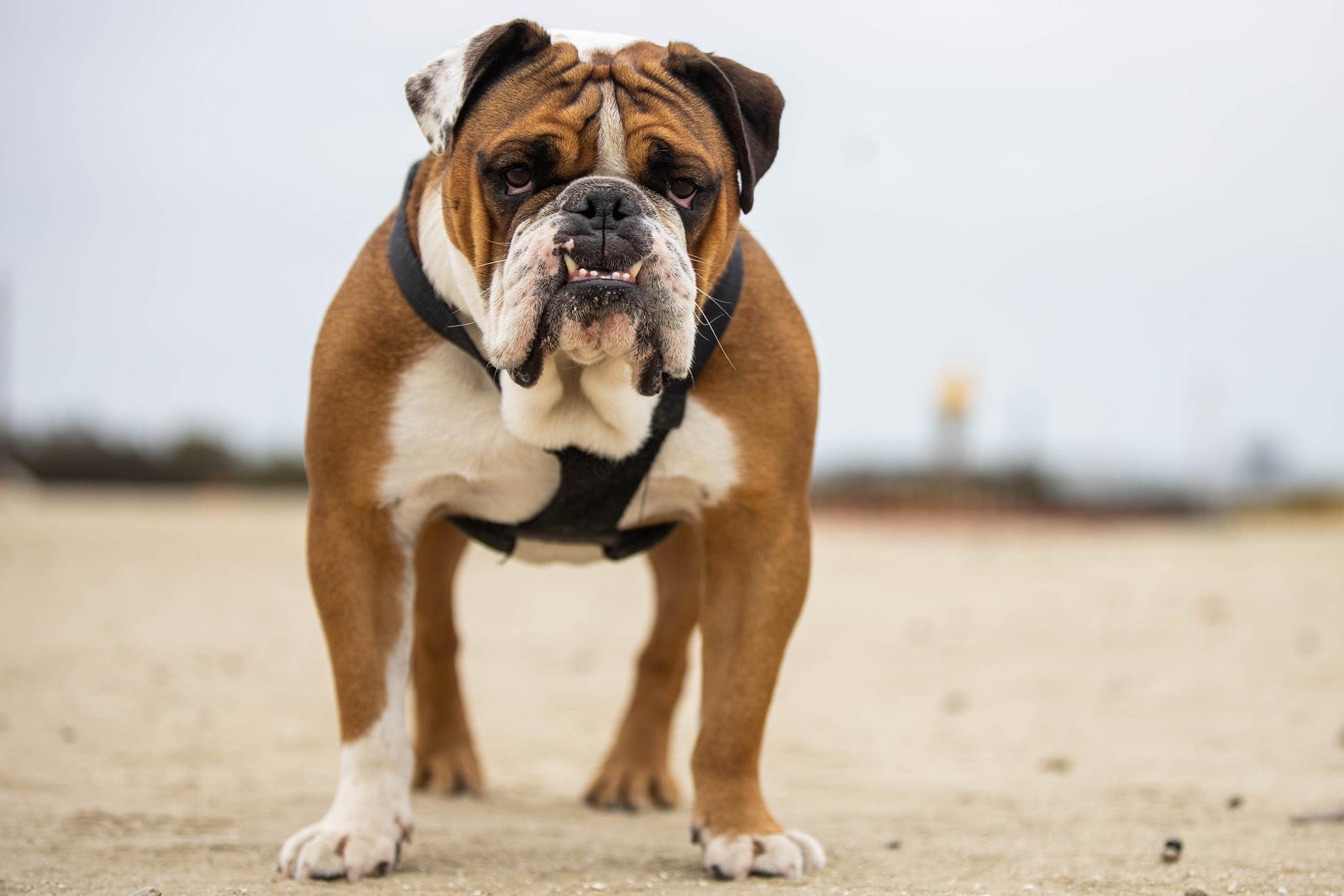 MANNY-POSED_9153